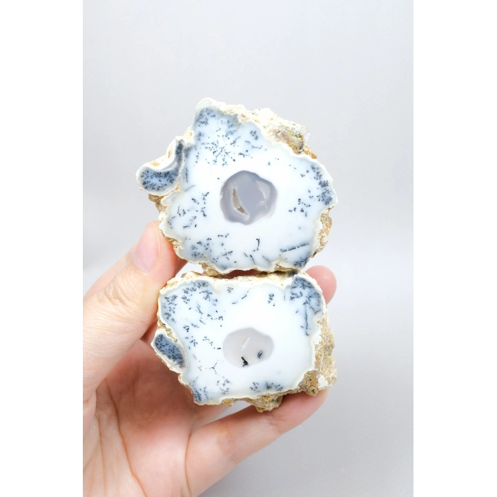 Dendritik Rüyalar: Bölünmüş Opal - Merlinit, 185g