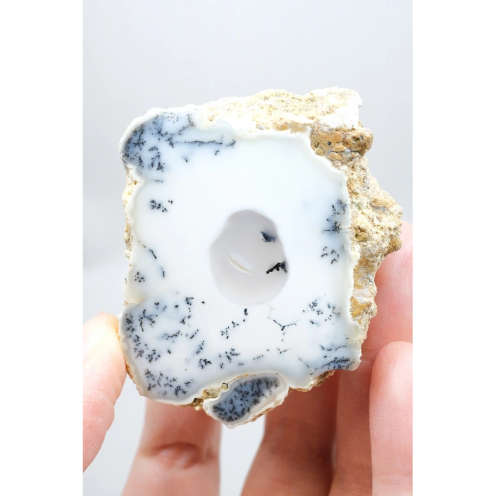 Dendritik Rüyalar: Bölünmüş Opal - Merlinit, 185g