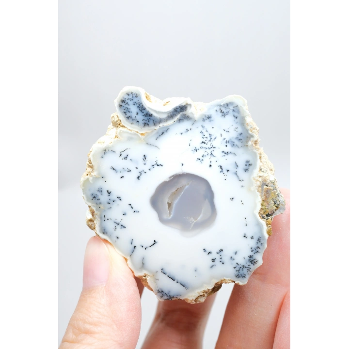 Dendritik Rüyalar: Bölünmüş Opal - Merlinit, 185g