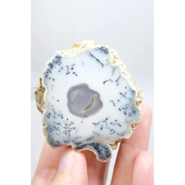 Dendritik Rüyalar: Bölünmüş Opal - Merlinit, 185g
