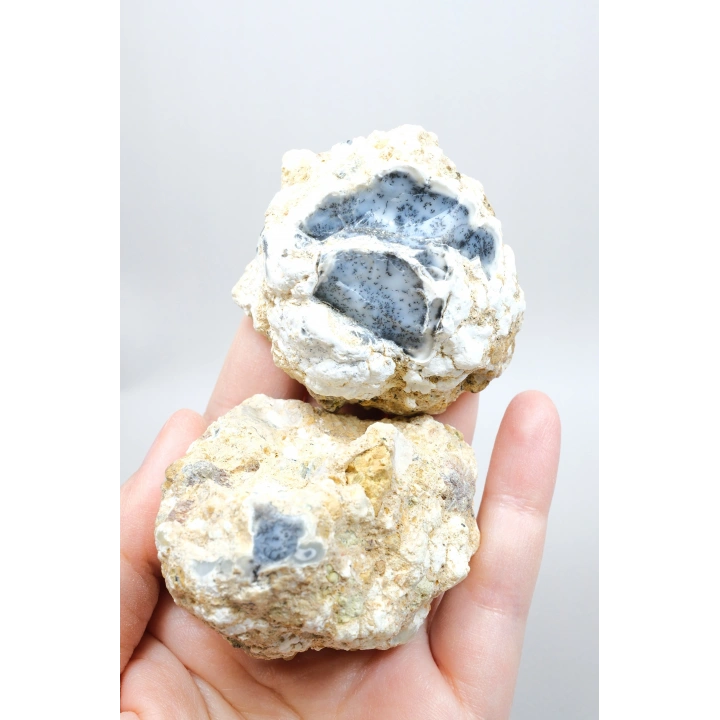 Dendritik Rüyalar: Bölünmüş Opal - Merlinit, 185g