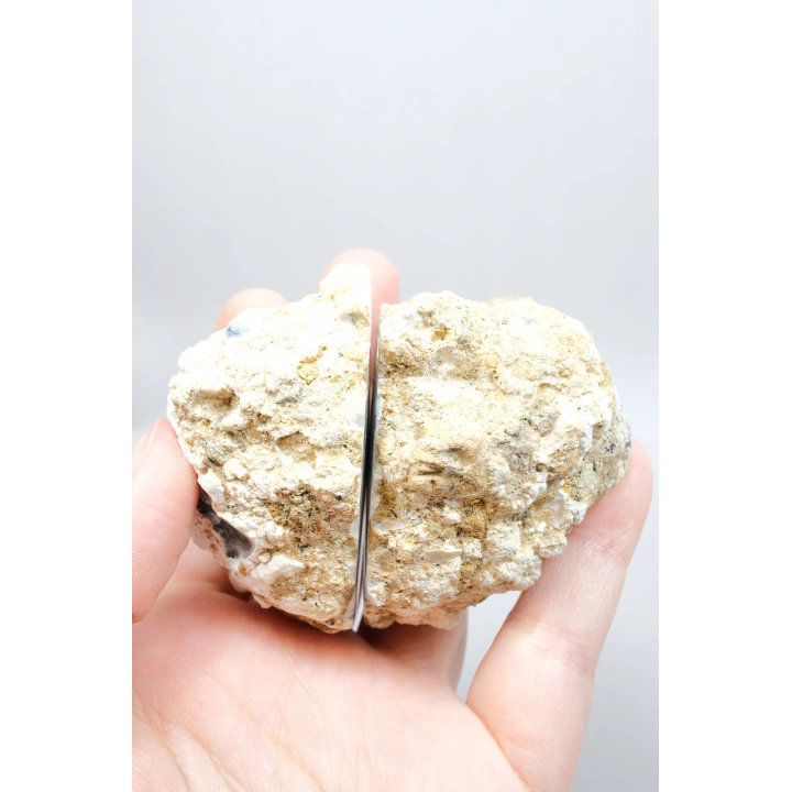 Dendritik Rüyalar: Bölünmüş Opal - Merlinit, 185g
