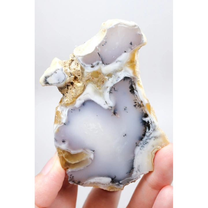 Dendritik Bal Opal Dilimi: Cilalanmış Merlinite Taşı (90g)