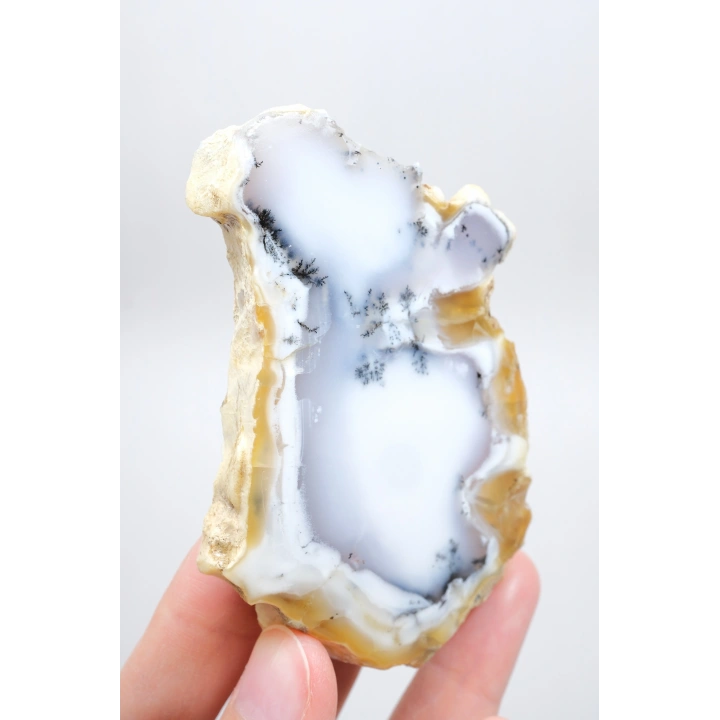 Dendritik Bal Opal Dilimi: Cilalanmış Merlinite Taşı (90g)