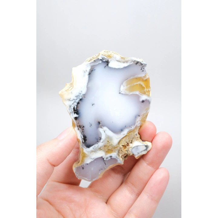 Dendritik Bal Opal Dilimi: Cilalanmış Merlinite Taşı (90g)