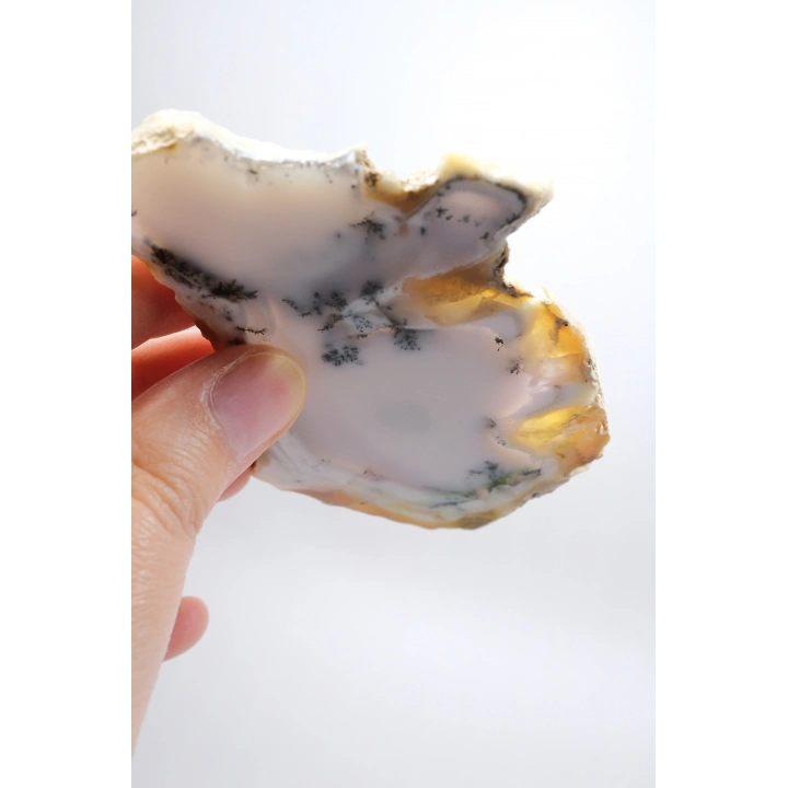 Dendritik Bal Opal Dilimi: Cilalanmış Merlinite Taşı (90g)