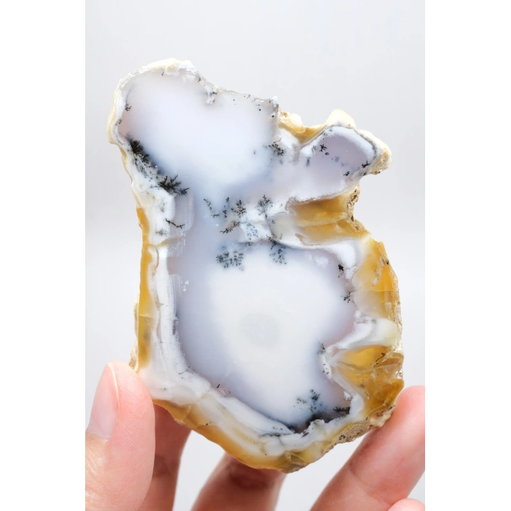 Dendritik Bal Opal Dilimi: Cilalanmış Merlinite Taşı (90g)
