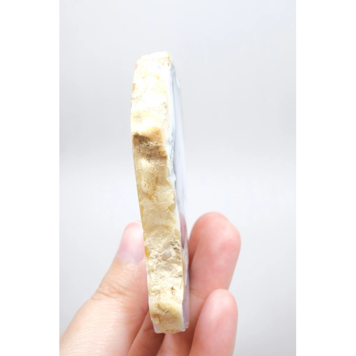 Dendritik Bal Opal Dilimi: Cilalanmış Merlinite Taşı (90g)