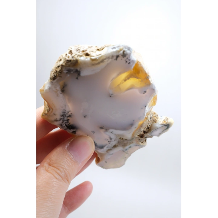 Dendritik Bal Opal Dilimi: Cilalanmış Merlinite Taşı (90g)