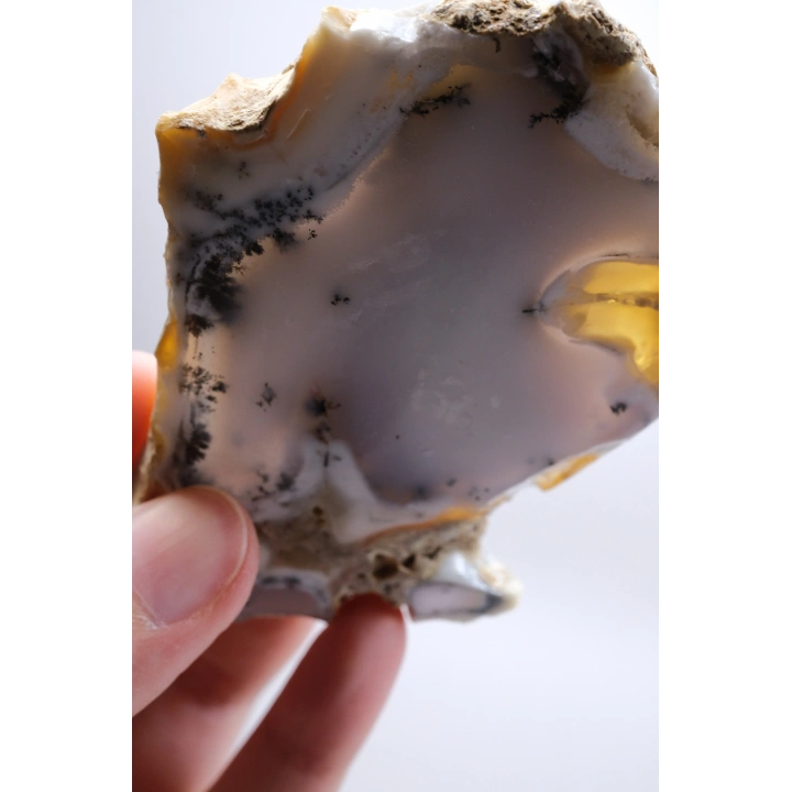 Dendritik Bal Opal Dilimi: Cilalanmış Merlinite Taşı (90g)