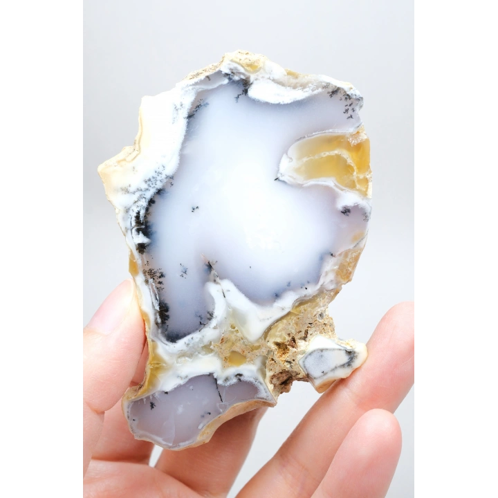 Dendritik Bal Opal Dilimi: Cilalanmış Merlinite Taşı (90g)