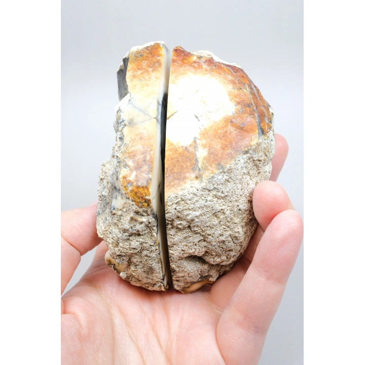 Dendritik Opal Çifti - Mavi ve Krem Merlinite Cilalanmış Taşlar, 368g