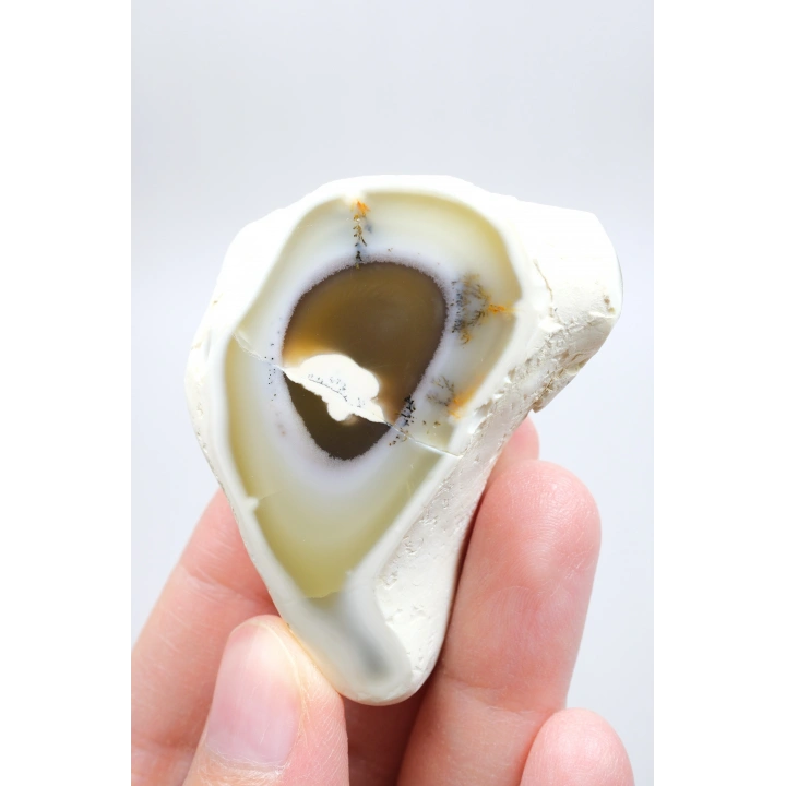 Dendritik Opal Dilimi Amber Merlinite ile Halkalı İçerikler, 152g