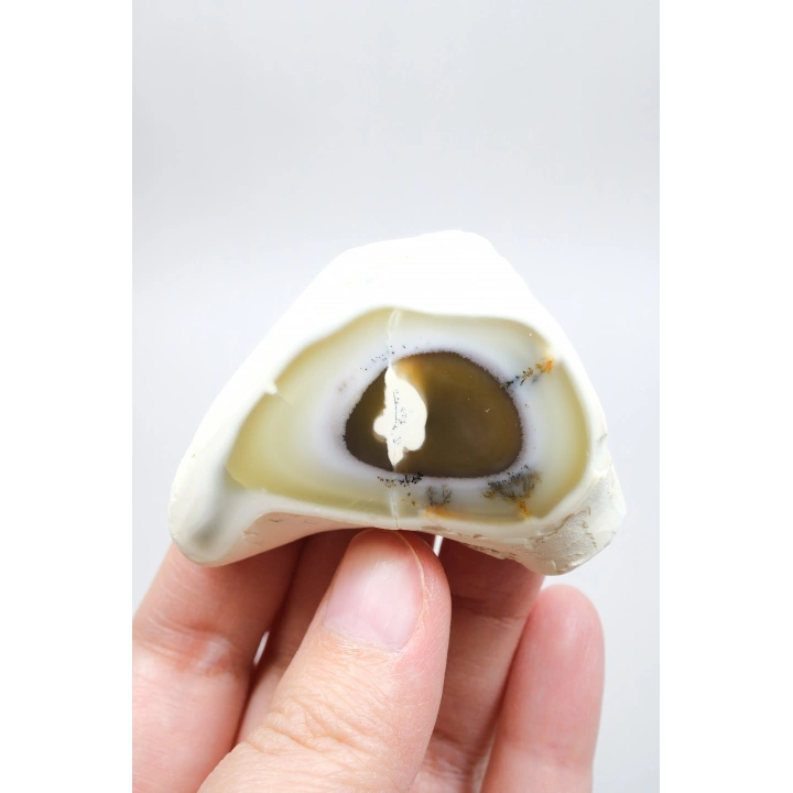 Dendritik Opal Dilimi Amber Merlinite ile Halkalı İçerikler, 152g