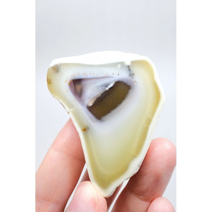 Dendritik Opal Dilimi Amber Merlinite ile Halkalı İçerikler, 152g