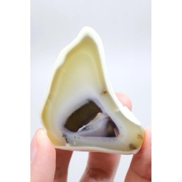 Dendritik Opal Dilimi Amber Merlinite ile Halkalı İçerikler, 152g