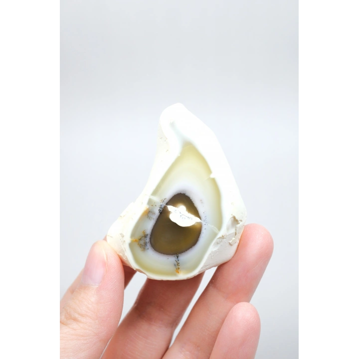 Dendritik Opal Dilimi Amber Merlinite ile Halkalı İçerikler, 152g