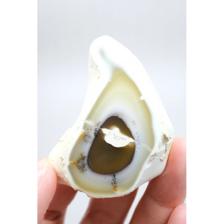 Dendritik Opal Dilimi Amber Merlinite ile Halkalı İçerikler, 152g