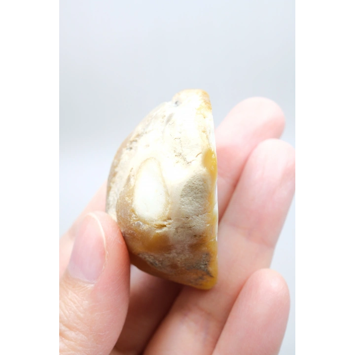 Dendritik Opal Kış Ormanı Dilimi - Cilalı Merlinite Portal - Mavi ve Beyaz Dendritik İçerik