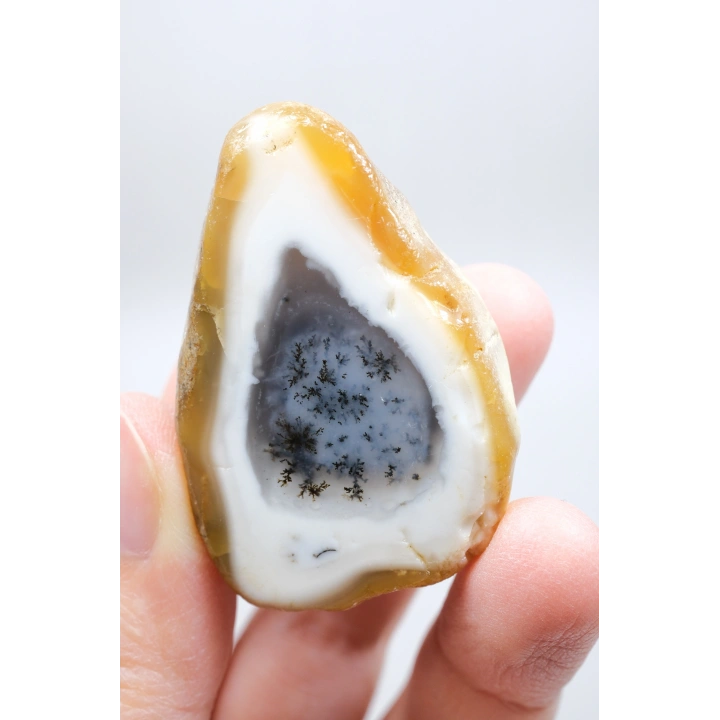 Dendritik Opal Kış Ormanı Dilimi - Cilalı Merlinite Portal - Mavi ve Beyaz Dendritik İçerik