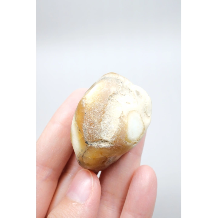 Dendritik Opal Kış Ormanı Dilimi - Cilalı Merlinite Portal - Mavi ve Beyaz Dendritik İçerik