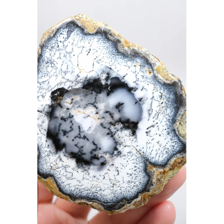 Dendritik Hayal: Dendrit Opal ve Akik - Merlinitenin Büyüleyici Özgüsü!