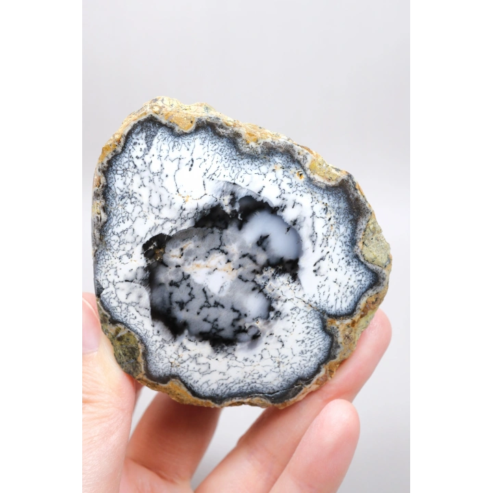 Dendritik Hayal: Dendrit Opal ve Akik - Merlinitenin Büyüleyici Özgüsü!