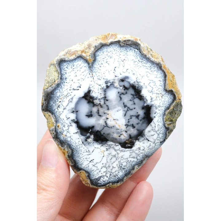Dendritik Hayal: Dendrit Opal ve Akik - Merlinitenin Büyüleyici Özgüsü!