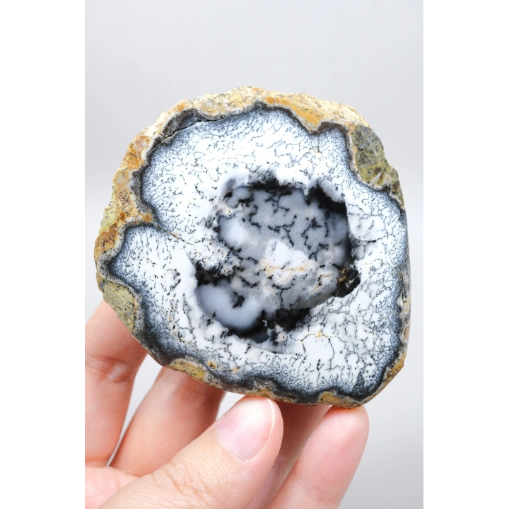 Dendritik Hayal: Dendrit Opal ve Akik - Merlinitenin Büyüleyici Özgüsü!