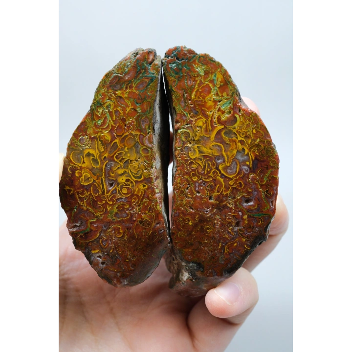 Dense Terracotta Red and Mustard Yellow Plume Agate, 180g