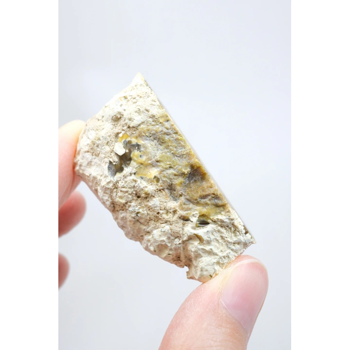 Topraksı Kahve ve Krem Dendritik Opal Merlinit Dilimi, 35g