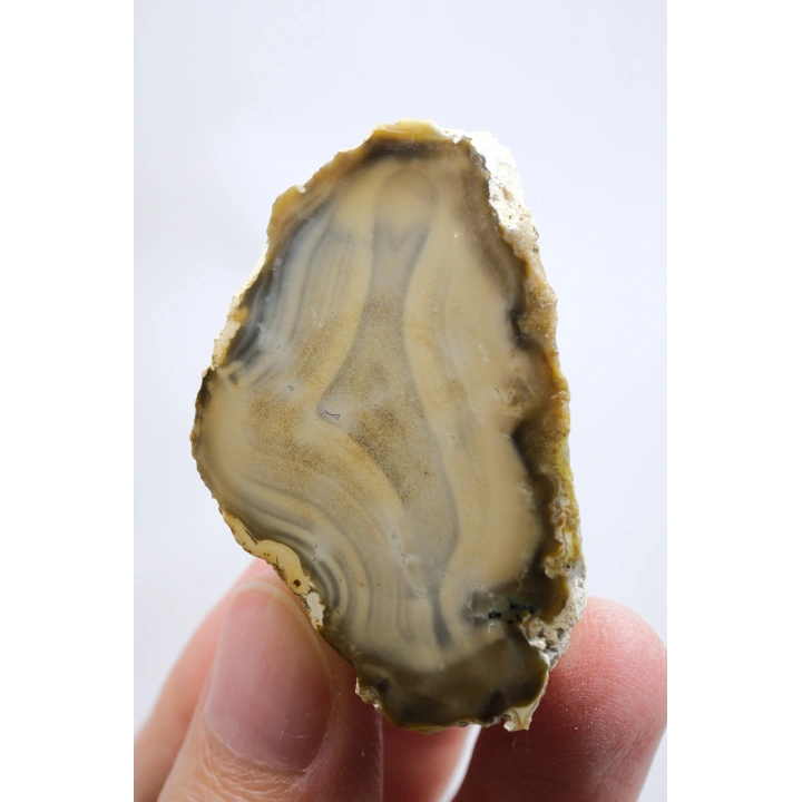 Topraksı Kahve ve Krem Dendritik Opal Merlinit Dilimi, 35g