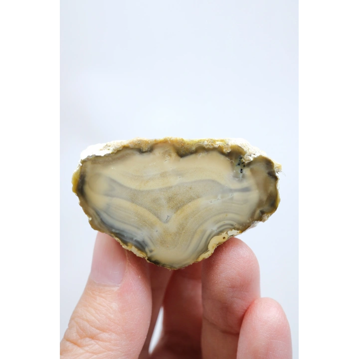 Topraksı Kahve ve Krem Dendritik Opal Merlinit Dilimi, 35g