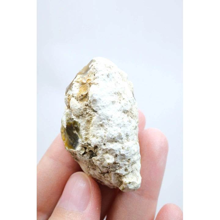 Topraksı Kahve ve Krem Dendritik Opal Merlinit Dilimi, 35g