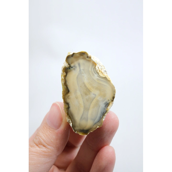 Topraksı Kahve ve Krem Dendritik Opal Merlinit Dilimi, 35g