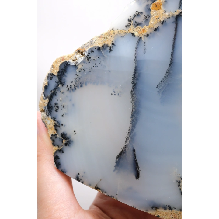 Kararsız buz mavisi, süt beyazı ve kömür siyahı Dendritik Opal Serbest Form Yarım, 479g