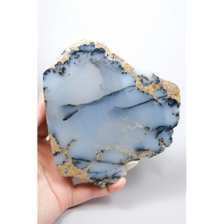 Kararsız buz mavisi, süt beyazı ve kömür siyahı Dendritik Opal Serbest Form Yarım, 479g