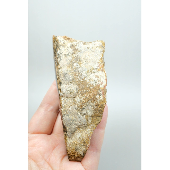 Eye-Banded Black Sea Agate - Derin Tuğla Kırmızısı, Hardal Sarısı ve Koyu Kahverengi Orbiküler
