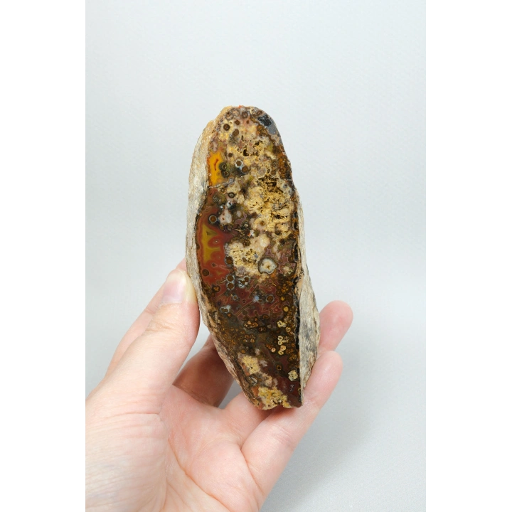 Eye-Banded Black Sea Agate - Derin Tuğla Kırmızısı, Hardal Sarısı ve Koyu Kahverengi Orbiküler