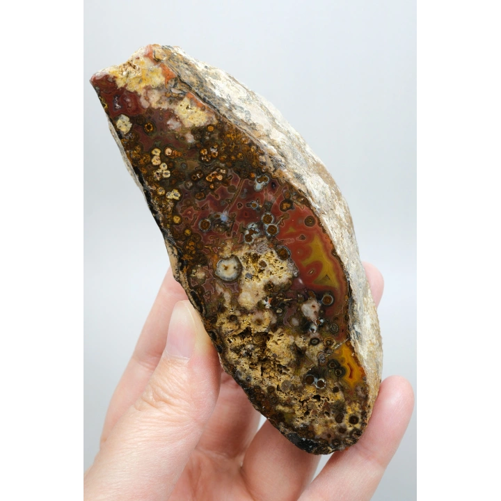 Eye-Banded Black Sea Agate - Derin Tuğla Kırmızısı, Hardal Sarısı ve Koyu Kahverengi Orbiküler