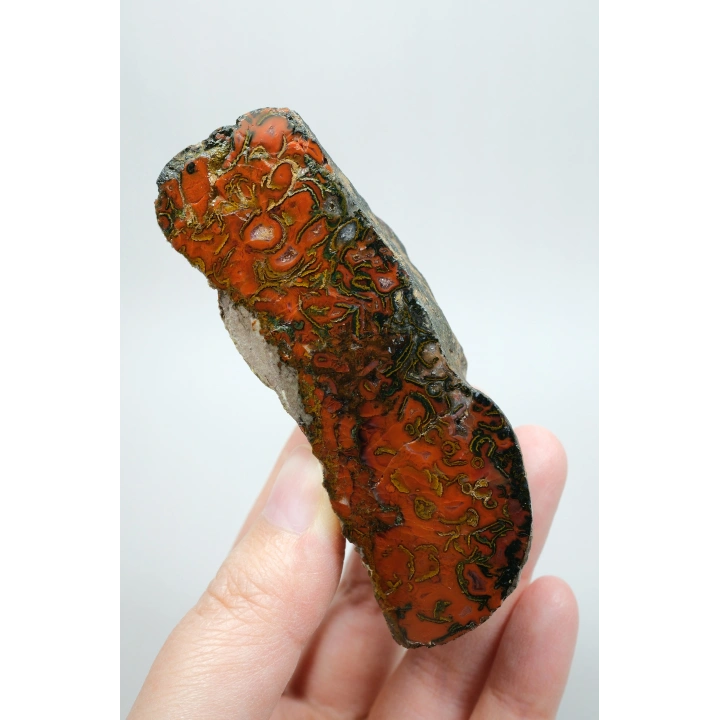 Alev Kırmızısı, Hardal Sarısı, Zeytin Yeşili Nakışlı Karadeniz Deniz Yosunu Ağat Çifti, 333g