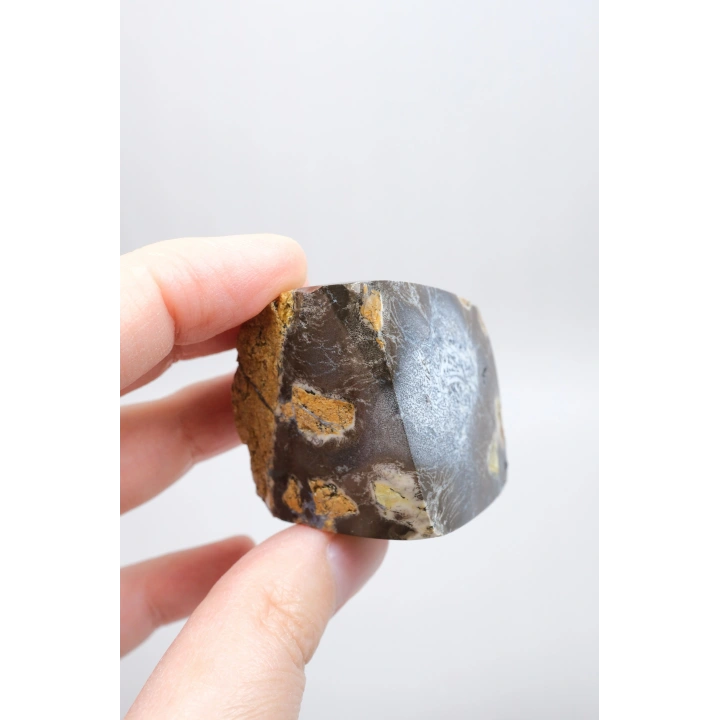 Dendritli Opal ve Agat ile Merlinite Harikası - Mükemmelliğe Parlatılmış!