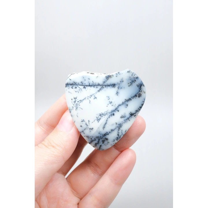 Heartfelt Wonders: Ópalo Dendrítico, Un Regalo Eterno para la Historia de Tu Amor