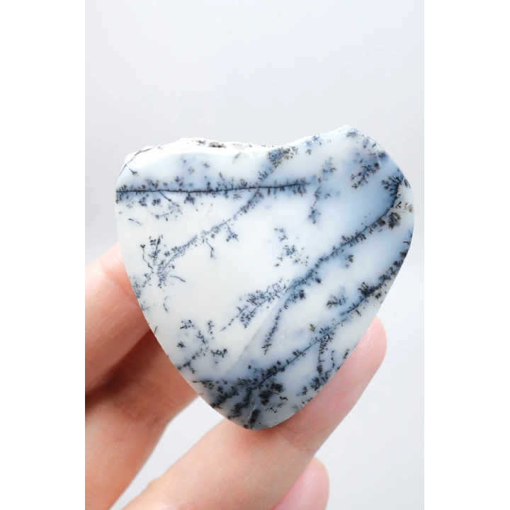 Heartfelt Wonders: Ópalo Dendrítico, Un Regalo Eterno para la Historia de Tu Amor