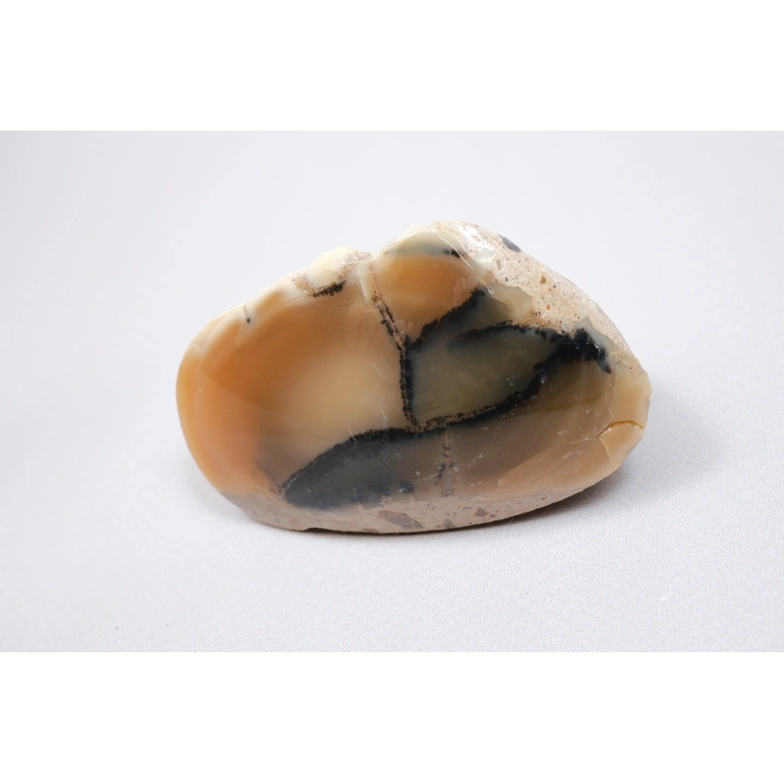 Bal Rengi Dendritik Opal Cilalı | Koyu Kahverengi Dendritik Opal ile Siyah İçerikler