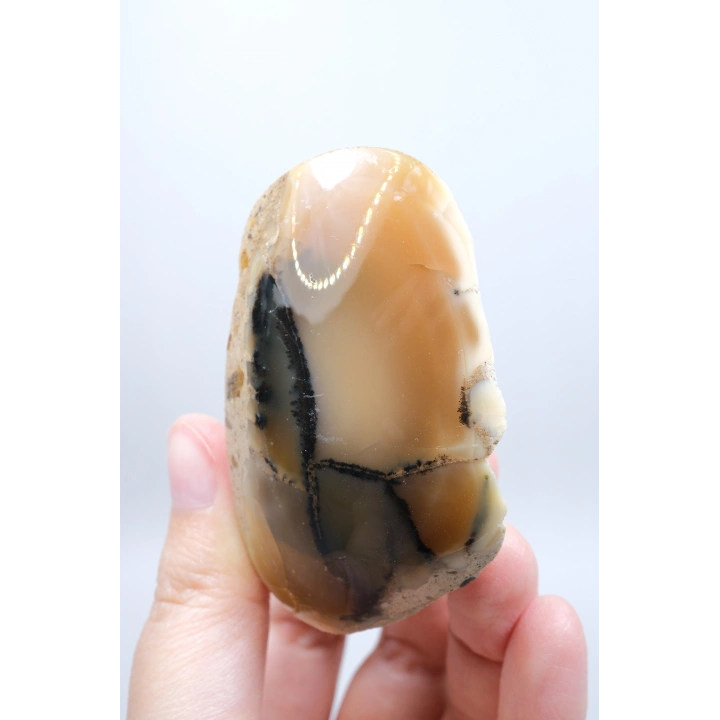 Bal Rengi Dendritik Opal Cilalı | Koyu Kahverengi Dendritik Opal ile Siyah İçerikler