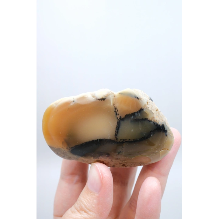 Bal Rengi Dendritik Opal Cilalı | Koyu Kahverengi Dendritik Opal ile Siyah İçerikler