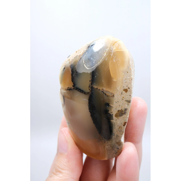 Bal Rengi Dendritik Opal Cilalı | Koyu Kahverengi Dendritik Opal ile Siyah İçerikler