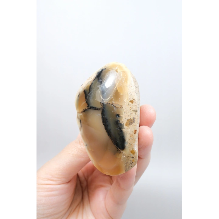 Bal Rengi Dendritik Opal Cilalı | Koyu Kahverengi Dendritik Opal ile Siyah İçerikler