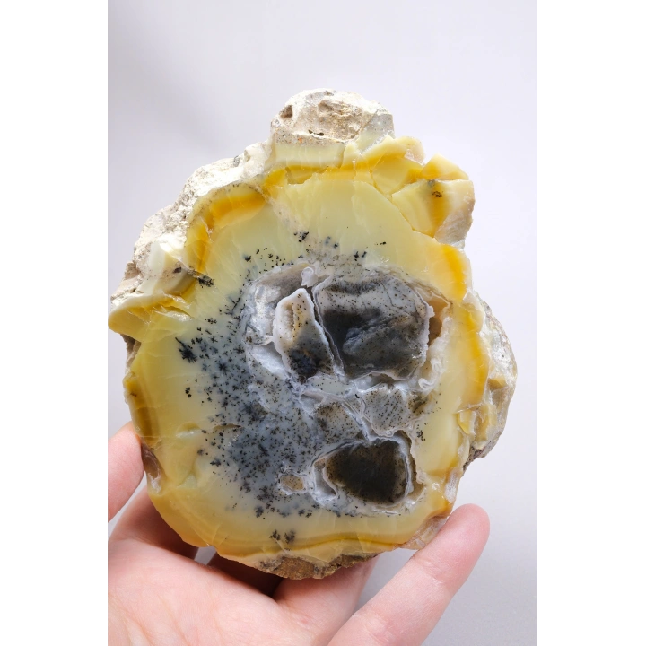 Bal-Sarı ve Buz-Mavi Dendritik Opal Levha - Kuvars Jeot Boşlukları ve Siyah Dendrit Tüyler, 377g